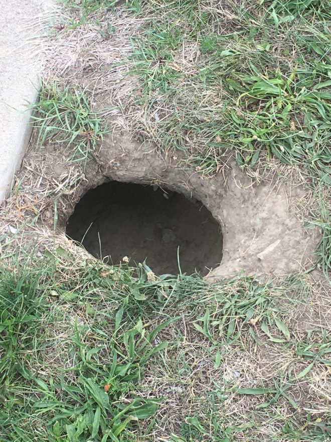 Tunneling by Groundhog / Woodchuck Cracks Concrete