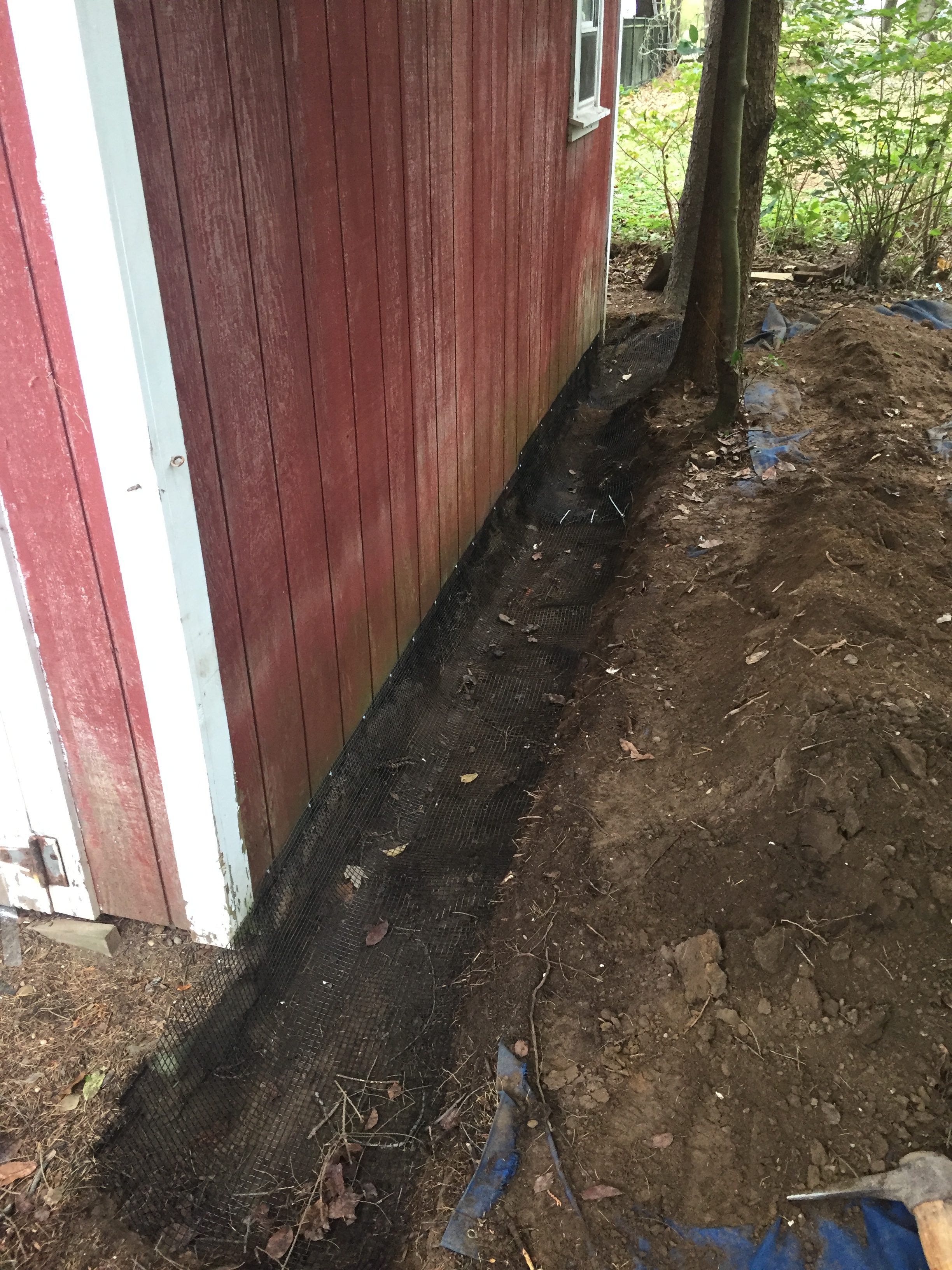 Animal Digging Under Shed or Foundation? Keep Digging 