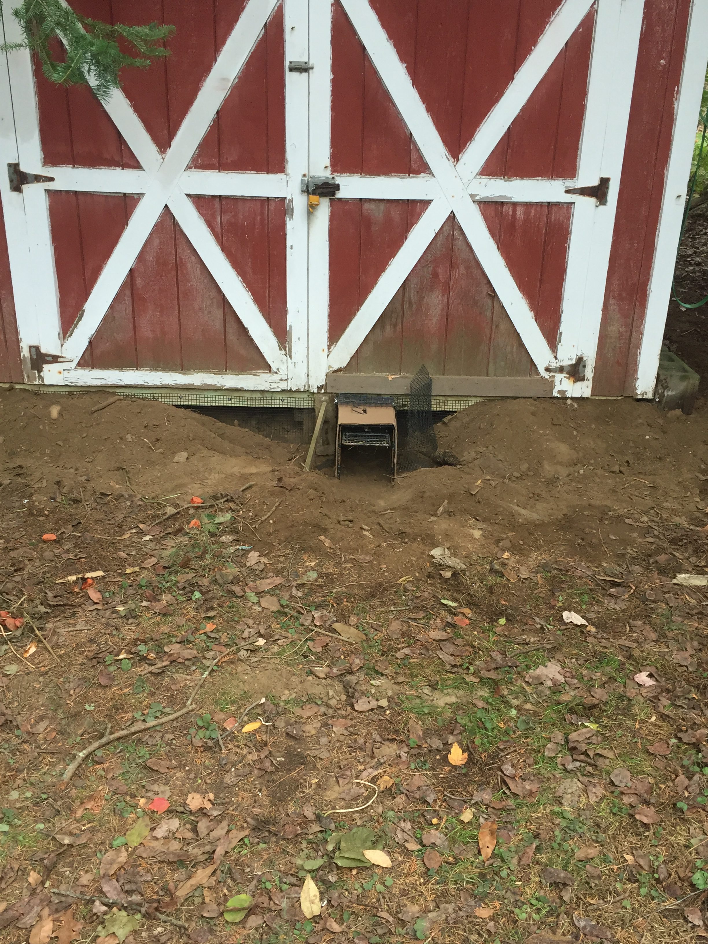 Animal Digging Under Shed or Foundation? Keep Digging 