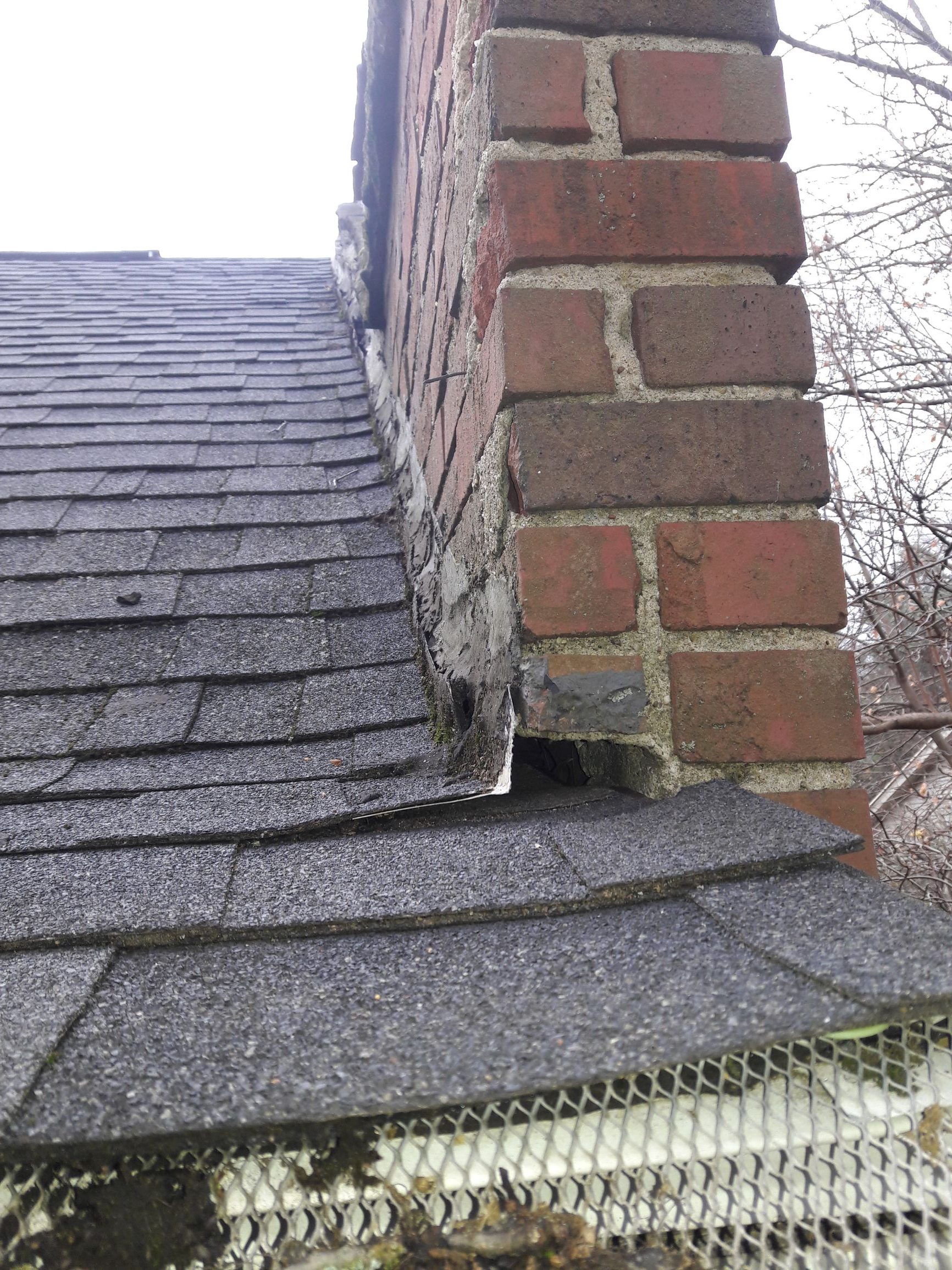 Ace Home Inspection, Inc » Flying squirrel in attic trap