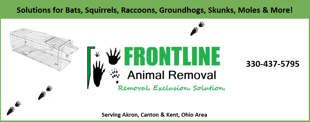 Nuisance Animal Information Delivered - Frontline Animal Removal