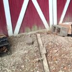 groundhog traps set up at barn door